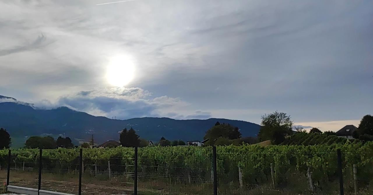 Chambre Au Coeur Des Vignes Myans ภายนอก รูปภาพ